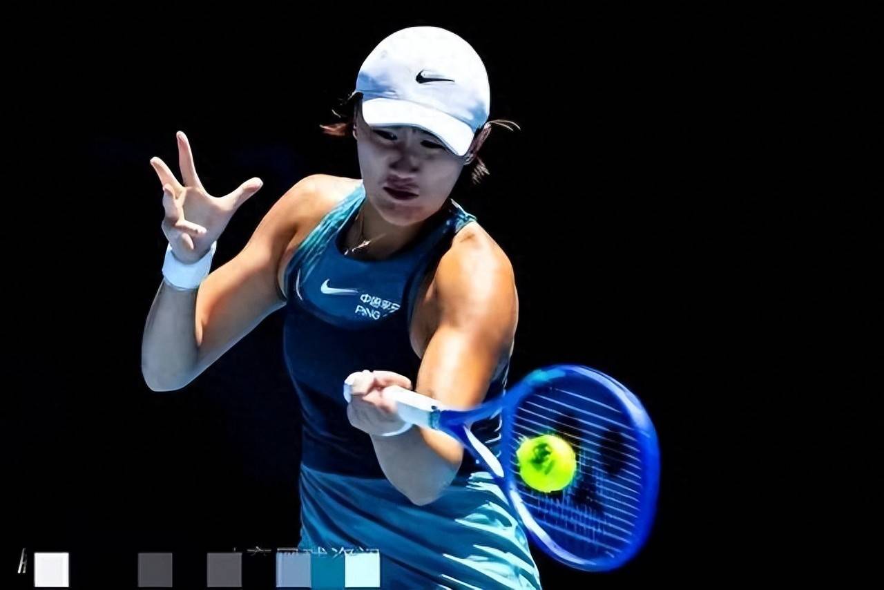 岳会选择内 岳会选择内